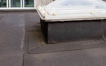 disadvantages of Hermit Hill flat roofs