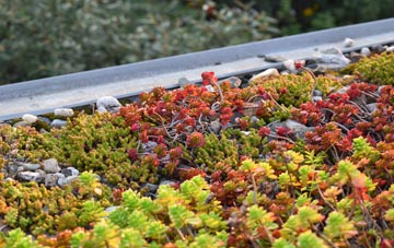 the cost of Hermit Hill green roof installation